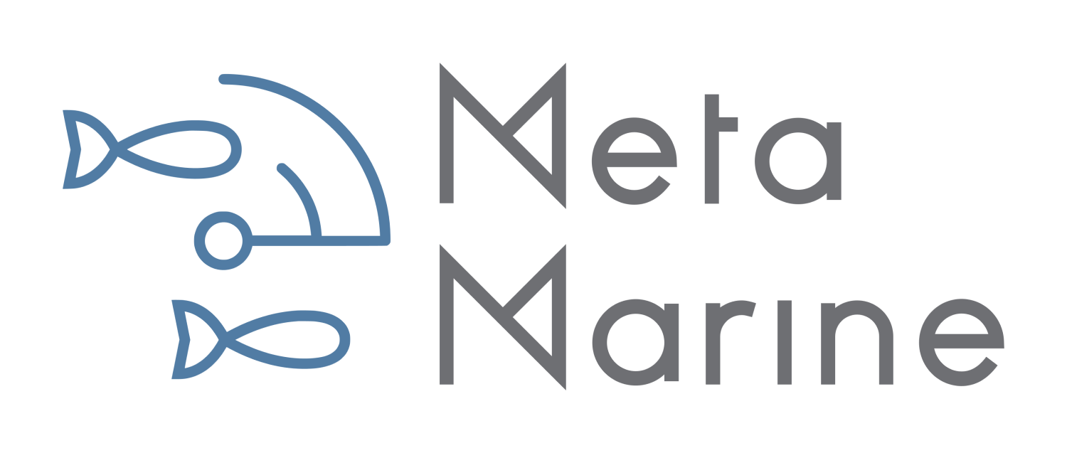 MetaMarine logo transparent background